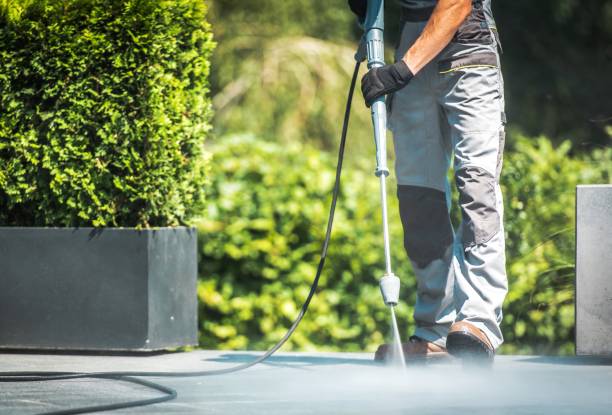 Best Boat and Dock Cleaning  in Almedia, PA