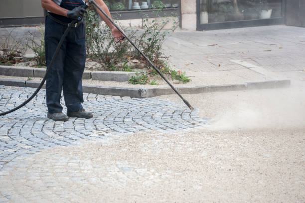 Best Driveway Pressure Washing  in Almedia, PA