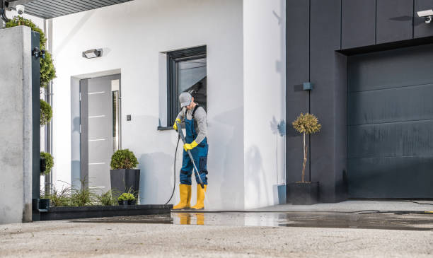 Animal Enclosure Cleaning in Almedia, PA